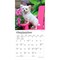 BrownTrout; Chihuahua Puppies | 2027 7 x 14 Inch (Hanging) Monthly Mini Wall Calendar; Category:Wall Calendars; Image:5